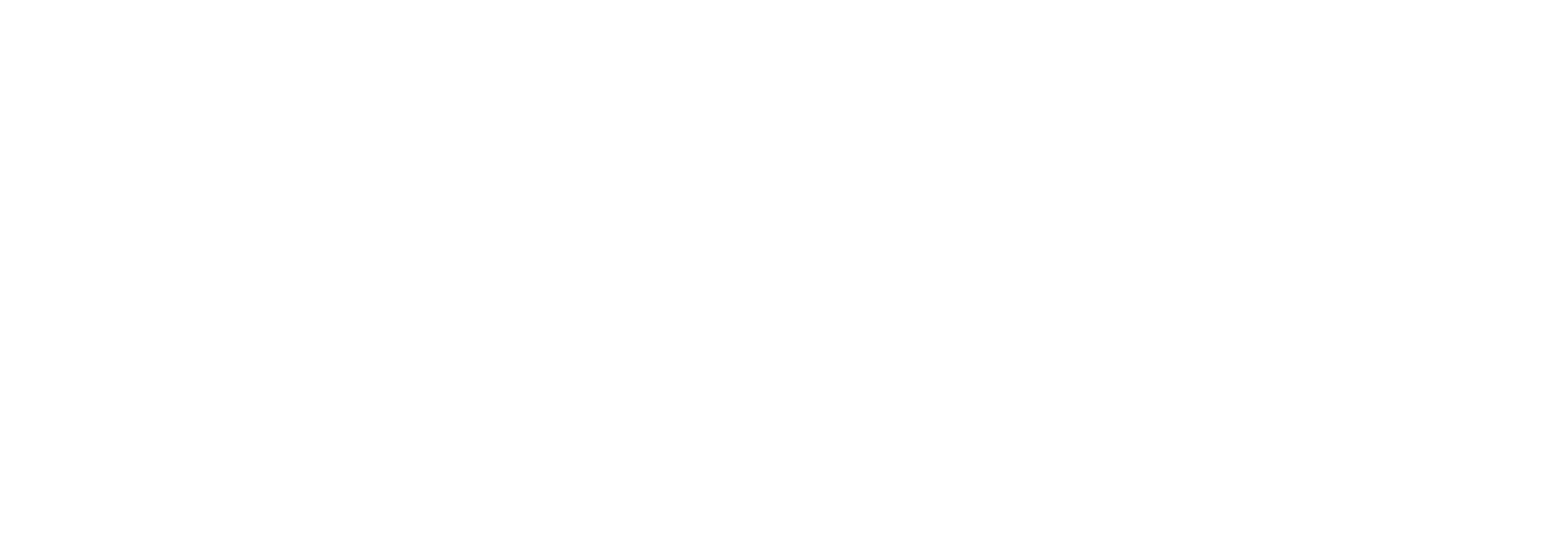 SYNE Carbon